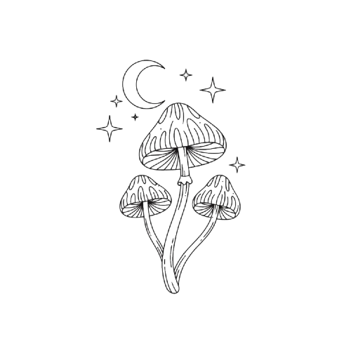 Integración de experiencias no ordinarias